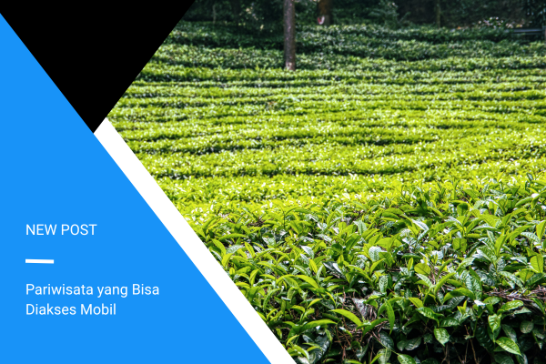 Sewa Mobil Kulon Progo Jogja