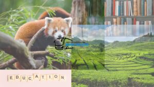 Sewa Big Bus Pariwisata 24 Jam Jogja