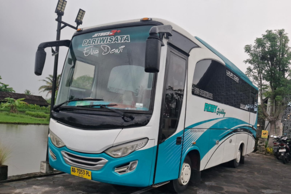 new imagee new imagee